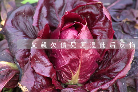 父親欠債兒愿還，此后反悔怎么辦？